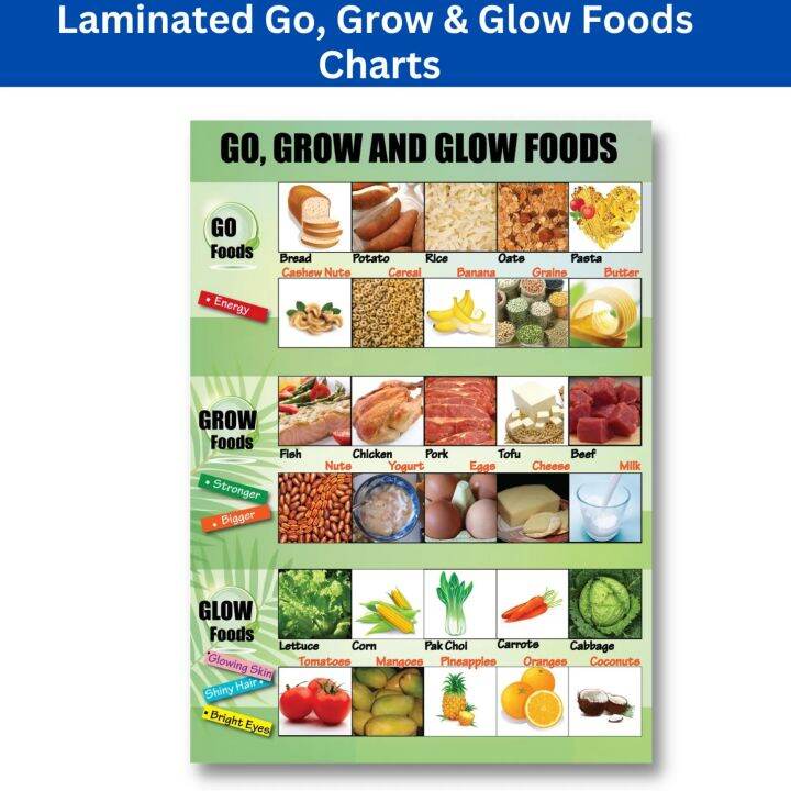 GO GROW GLOW FOODS CHART Laminated Go Grow Glow Foods Chart For Kids Learners And