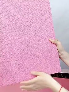 【SG 🚚】Balance Pad TPE Foam Cushion for Yoga Pilates Core Training Non-Slip