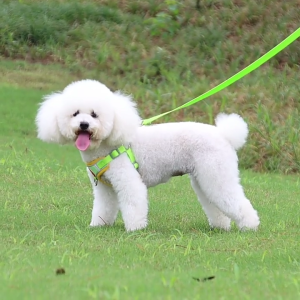 Pet Chest Strap Vest Type Dog Strap Small Dog Rope Outdoor Reflective Breathable Dog Traction Rope Dog Collar Seat Belts