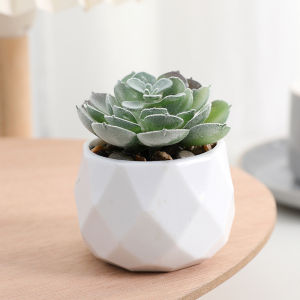 Artificial Succulent Plants Potted Simulated Creative Green Plants Desktop Home Decor Fake Plants