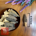 Red Sea Herbs 羊肚菌 38g | Dried Morel Mushroom/Morchella  高品质干货 | 天然野生菌 | 养生煲汤佳品 | Malaysia Stock | 送礼佳品. 