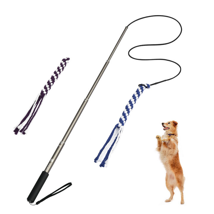 POPETPOP Interactive Dog Teaser Extendable Flirt Pole Funny