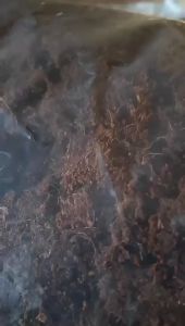 LZD Coconut Bran Seedling Flower Nutrient Soil Climbing Mat Soilless Cultivation Loose Soil Small Package Bubble-Free Coconut Soil