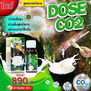 โดส CO2(สูตรทา) ยางพารา นวัตกรรมปุ๋ยอากาศ เซตเพิ่มผลผลิตX5เท่าไหลเร็ว ไหลนาน ออกสมำ่เสมอ น้ำยางขาวข้นต้นสมบูรณ์ไม่โทรม หน้ายางใสเสริมเปลือกไว