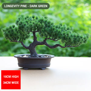 Simulated welcome pine tree entrance bookshelf study living room decoration fake green beauty pine Chinese style Zen simulation fake pine welcome pine potted plant