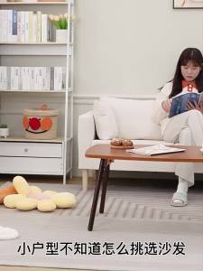 Apartment Small Sofa Living Room Double Seated Sofas Chairs Rented House Furniture Cozy Home Fabric Lying Bed