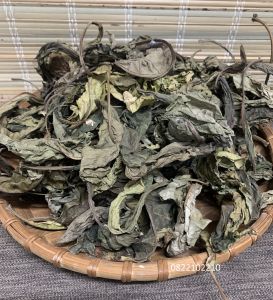 Lá khôi nhung khô hàng rừng cứu tinh cho dạ dày