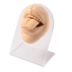 OEUVR Lightweight Lips and Tongue Model Soft Silicone Tongue Piercing Model Durable Black Lip Stud Display Stand Crafts DIY