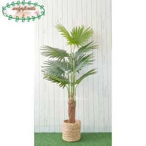 Pohon Hias Artificial Daun Palem Sadeng T160 Latex Pot Dasar Hitam Cover Eceng Gondok Hiasan Sudut Caffe Sudut Ruang