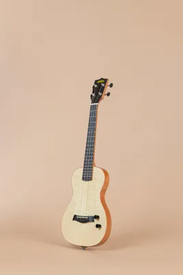 Kala Solid Body Electric Flame Maple Tenor Ukulele (KA-SB-MAP-T) with gigbag