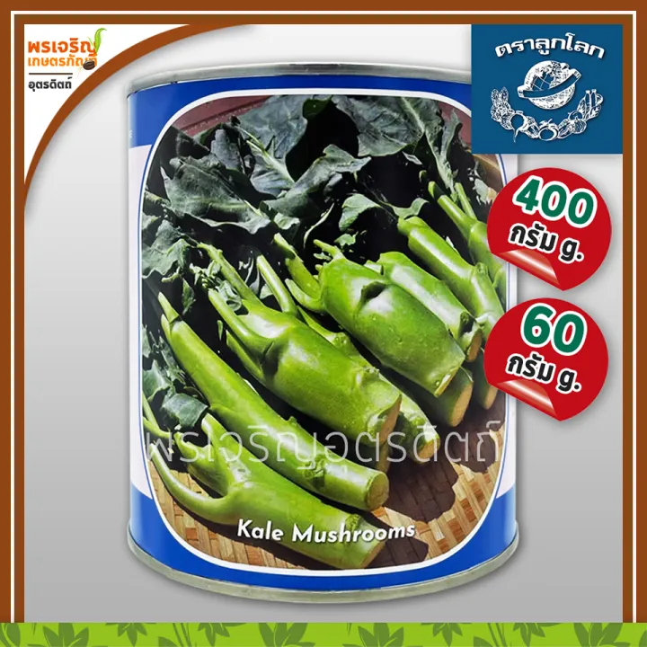 เมล็ดพันธุ์คะน้าฮ่องกงเห็ดหอม ตราลูกโลก สำหรับปลูกผักสวนครัว