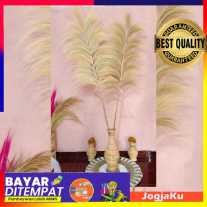 BUNDLING ISI 2 HOME DECOR RAYUNG KERING PANJANG COCOK UNTUK PHOTO STUDIO DEKORASI INTERIOR DLL MURAH