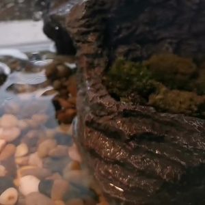 LZD  Simulation Rock Drying Platform Turtle Drying Back Platform Climbing Planting Green Plant Floating Platform Climbing Platform Running Water Climbing Platform Avoiding Cave