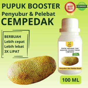 Pupuk Cempedak Cepat Berbuah / Pupuk Pelebat Buah Cempedak / Pupuk Booster Cempedak Cair
