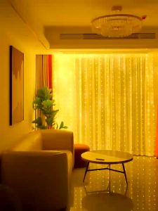 Sheer Curtain Backdrop Decorations 2pcs White Tulle Backdrop Curtain With String Lights Organza Mesh Curtain For Backdrop Wedding Bridal Baby Shower Birthday Photography Party Decorations