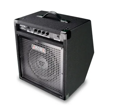 Electronic drum and keyboard amp