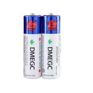 DMEGC Battery No. 5 Smart Lock Pas Fingerprint Lock Battery Diving Electronic Sphygmomanometer Gas Meter Alkalin5号碱