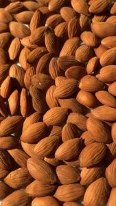 ชุด 10 เมล็ด เทาะ เมล็ดพีช เมล็ดท้อ ของใหม่ ปลูกติดแน่นอน จากต้นพันธุ์ดี ด่วน มีจำนวน 10 คู่