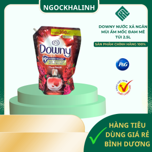 Downy nước xả ngăn mùi ẩm mốc đam mê túi 2.5L