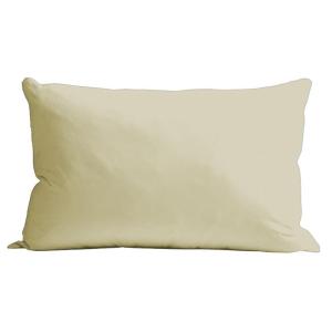Soft Sewn Pillowcase with Envelope Sleeve - Silky Soft Microfiber 2PCS Set 48*74CM/18x28inches