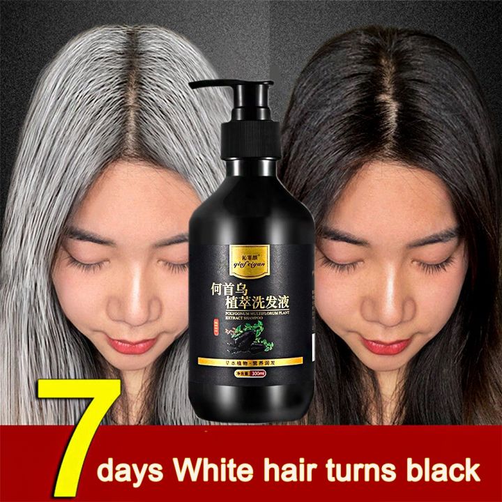 Herbal Natural Polygonum Multiflorum Shampoo Effective White Hair Turns ...