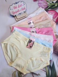 Combo 10 Quần lót Cotton thái BIG SIZE  (1219) Size: 60-75KG Co giản Thoáng mát  - Đồ Lót Quỳnh Anh