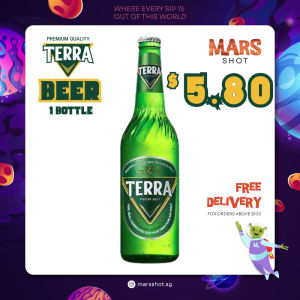 Terra Korean Beer 500ml - HITEJINRO Pure Malt Beer