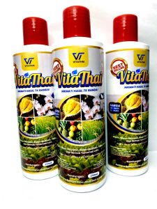 BAJA VITAMIN SIAM |250 ML| Baja Viral Dari Thailand Pati Origin (bancuh Sendiri)