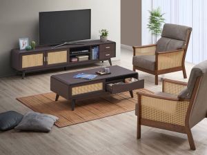 Living Room Sofa / Nordic Sofa / Home Stay Project