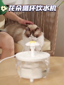เครื่องจ่ายน้ำปั๊มกรองอัตโนมัติสำหรับแมวที่เงียบก็อกน้ำดื่มออกแบบให้มีการไหลของดอกไม้สำหรับชุดของใช้ประจำวันสำหรับไปเที่ยวสัตว์เลี้ยง