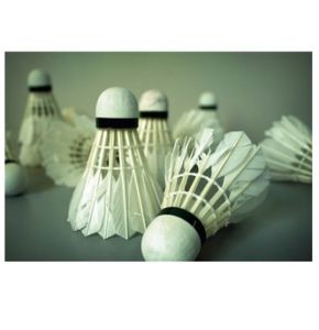 Shuttlecock / Kok Badminton Bulutangkis Sortiran Murah untuk Drilling
