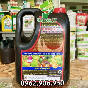 Phân Bón Vi Lượng Đầu Bò HUMATE KALI Can 5Lit – Ra Rễ Cực Mạnh Đâm Chồi Đẻ Nhánh Tăng Đậu Trái