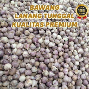 Bawang Putih 1 Kg Tunggal Lanang Kualitas Premium Import Super