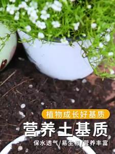 LZD Big Bag Nutrient Soil Planting Soil General-Purpose Flower Planting Vegetable Soil Green Radish Succulent Soil Fertilizers for Potted Flowers Organic Soil