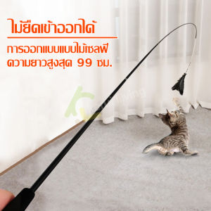 ไม้ตกแมว พร้อมหางแรคคูน ยาว 99 ซม. ของเล่นแมว cat toy เปลี่ยนหัวได้ ไม้ล่อแมว ไม้หยอกแมว สำหรับแมวทุกวัย ของเล่นสัตว์เลี้ยง ปรับความยาวได้