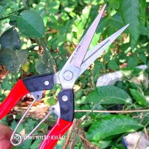 Kéo cắt cành cây Combo 2 cái
