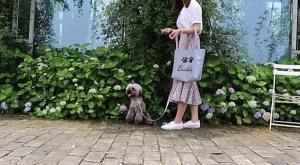Custom Dog Bag Cat Handbag Personalized Single Shoulder Bags For Outdoor Travel Portable Dog Snack Bottle Bags Engraved Name