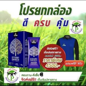 4Tree​ของแท้ [1 กล่อง 10 ซอง] ​โฟร์​ทรี สารเสริมประสิทธิภาพพืชสูตรอิออน ช่วยเร่งราก พืชโตเร็ว ทำให้พืชเขียวทน ใช้ได้กับพืชทุกชนิด นวัตกรรมใหม่จากประเทศอิสราเอล ของแท้100%