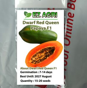 Dwarf Red Queen Papaya seeds Hybrid f1 by Ez Agri Vet dwarf papaya seeds by EZ Agri Alfredo poot Lady known you seeds condor ramgo seeds red lady f1
