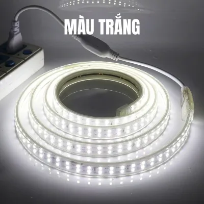5M 10M 15M 20M 2835 Hàng đôi Led 220V Siêu sáng+1 Nguồn điện miễn phí Dây Led không thấm nước Trang trí ngoài trời