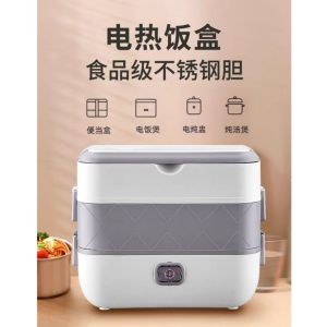 2L Portable Electric Lunch Box Heating Double Layer Stainless Multifunctional Cooker