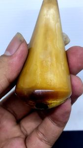 PIPA ONCE GADIN6 LAWASAN BELAH PUCUK