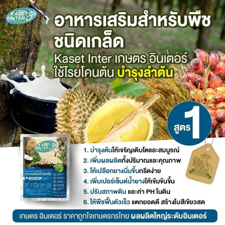 10 สุดยอดอาหารพืชและปุ๋ยบำรุงต้นไม้ เพิ่มผลผลิตงามสะพรั่งในปี 2025