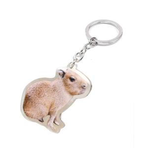 Acrylic vòng tròn rõ ràng Keychain hình chữ nhật capybara vòng khóa Mặt dây chuyền Keychain thẻ Đĩa trong suốt trang trí móc khóa