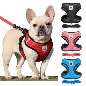 Comprehensive Guide to Pet Dog Leash & Harness Sets
