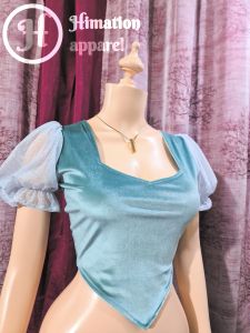 Freya mesh sleeves velvet top