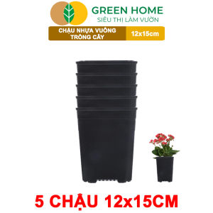 5 Chậu Vuông Trồng Cây Greenhome Nhiều Kích Thước Nhựa Cứng Thoát Nước Tốt Trồng Hoa Kiểng Lá