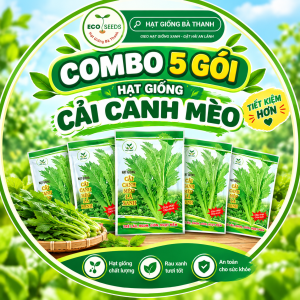 [EcoSeeds] Combo Tiết Kiệm 5 Gói Hạt Giống Cải Canh Mèo Lá Xẻ Hà Giang Việt Nhật - Chịu Nhiệt Chịu Mưa Tốt - Gói 18g