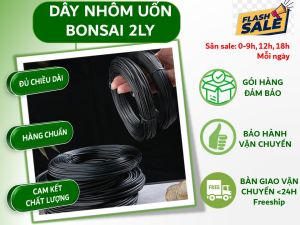 Dây nhôm 2ly uốn bonsai mini