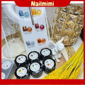 Gel Nhũ Hổ Phách Set 6 Màu Huaxi trang trí móng theo phong cách Hàn